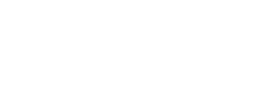 REPORT SERVER
